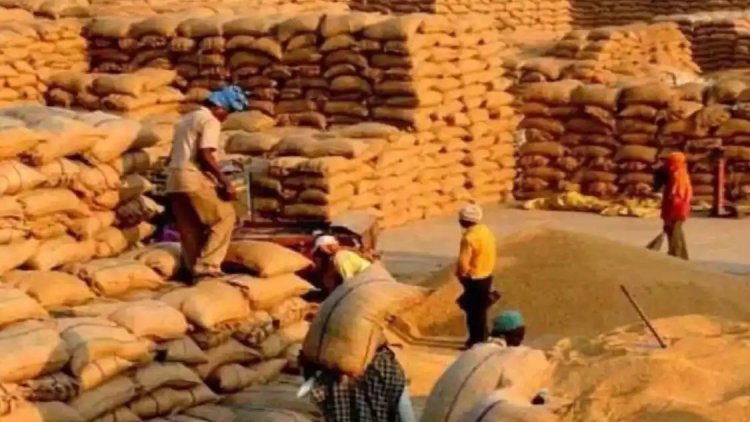 खरीदी केंद्र में 229.60 क्विंटल धान शॉर्टेज : सहकारिता विभाग की संयुक्त टीम ने की जांच, समिति प्रबंधक पर होगी कार्रवाई