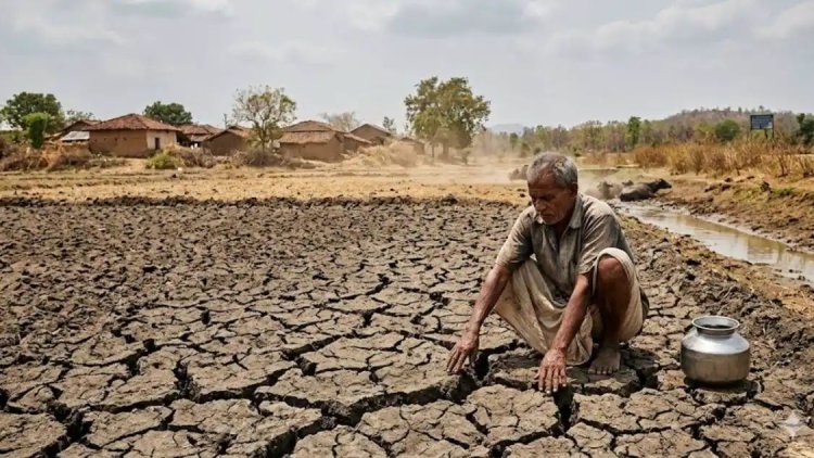 छत्तीसगढ़ के किसानों पर 'एल नीनो' की मार! देर से दस्तक देगा मानसून, जून में लू और उमस करेगी बेहाल
